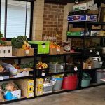 Grassroots food co-op linked to improved diets, less food insecurity – study