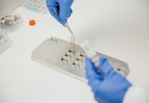 Australian biotech firm TekCyte names co-CEOs to drive global growth