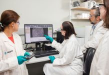UQ researchers push new prostate cancer drug closer to clinical stage