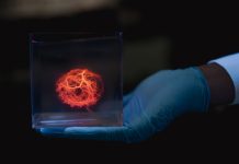 Stanford researchers develop precision tool for bioprinted organ blood supply