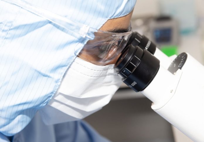 Magellan-STEM-CELLS-2024__1182-1024x683 (1)