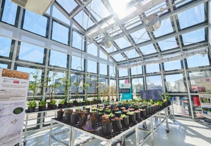 ClearVue_Murdoch-Greenhouse-1-768x512