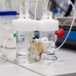 UNSW researchers advance green jet fuel tech with $1.2M TRaCE boost