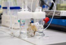 UNSW researchers advance green jet fuel tech with $1.2M TRaCE boost