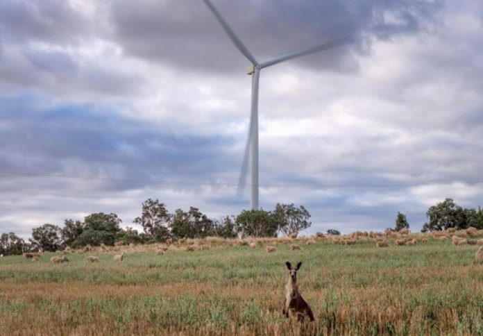 kangaroo-wind-farm-CWO-REZ (1)