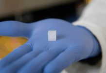 Space-based experiment to study manufacturing of bioprinted liver tissue