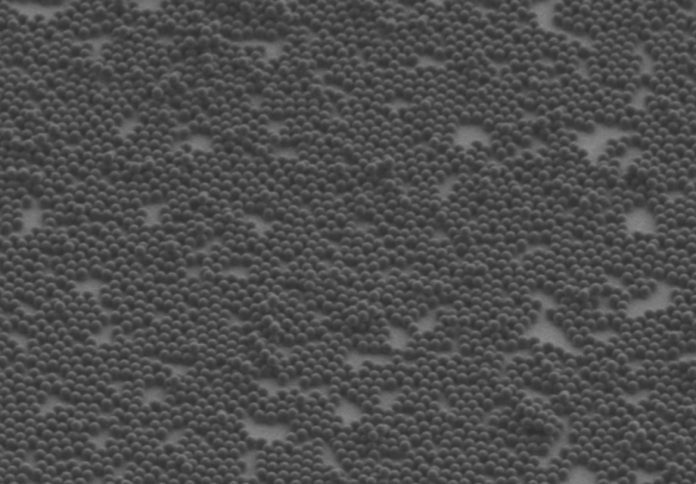 Image credit Dr Lukas Wesemann, University of Melbourne, and Mario Hentschel, University of Stuttgart