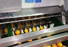 Pectin 360 secures $2.1M grant to advance local pectin and fibre manufacturing