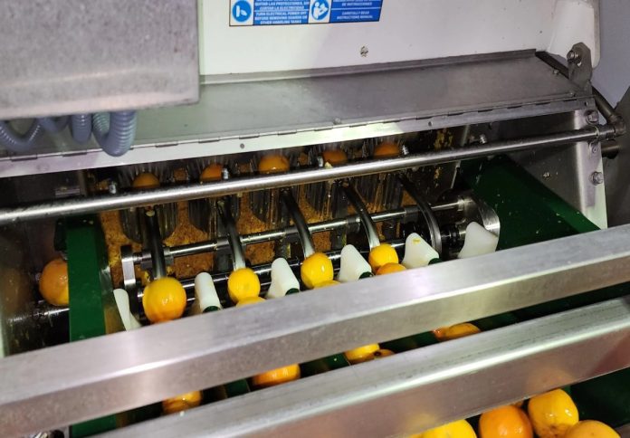 Pectin360_20230530_133812