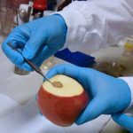 UQ researchers develop nanotech tool to measure vitamin C in fresh produce