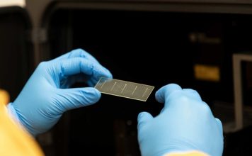 University of Sydney develops 3D printed blood vessels to aid stroke research