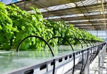 La Trobe research partnership scales food productivity system to commercial level