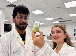 RMIT research flags saltbush as high-protein manufacturing ingredient