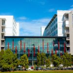 Swinburne research points to manufacturing pathway for fungi-based insulation from discarded mattresses