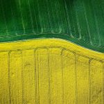 Australians back domestic manufacturing push for sustainable aviation fuel, Sydney Airport says