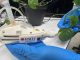Manufacturing breakthrough uses sound waves to create ‘plant sunscreen’
