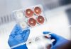 UQ researchers develop engineered fungi to recover critical minerals from mining waste
