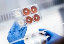 UQ researchers develop engineered fungi to recover critical minerals from mining waste