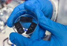 RMIT study advances design of dry mRNA vaccine patches