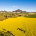 GrainCorp CEO says domestic renewable fuel industry could strengthen Australia’s fuel security