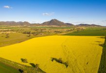 GrainCorp CEO says domestic renewable fuel industry could strengthen Australia’s fuel security