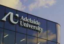 Adelaide University-led team advances direct carbon conversion for industrial emissions