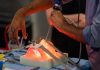 Advanced manufacturing project to develop realistic dental training models
