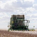 Australian cotton manufacturing demand supported by quality and supply outlook – Nutrien