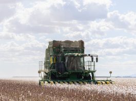 Australian cotton manufacturing demand supported by quality and supply outlook – Nutrien