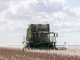 Australian cotton manufacturing demand supported by quality and supply outlook – Nutrien