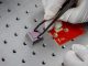 Brisbane opens Australia’s first photonic chip packaging facility
