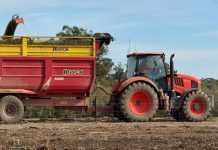 Bosisto’s Australian-made cleaner earns fifth CHOICE Recommendation