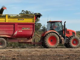 Bosisto’s Australian-made cleaner earns fifth CHOICE Recommendation