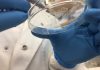 Honeybee silk research targets smarter wound dressings