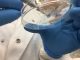 Honeybee silk research targets smarter wound dressings