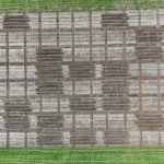 CSIRO-led project tests regenerative farming practices for climate resilience