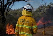 RMIT researcher recycles retired fire-service uniforms into new fashion fibres