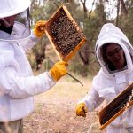 Honey skincare manufacturer builds operational control during 1,000% growth