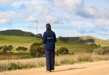 Neoen begins construction of 346 MW Goyder North Wind Farm in South Australia